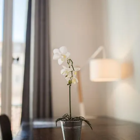Casa Offenbach Ap4164 Apartment *